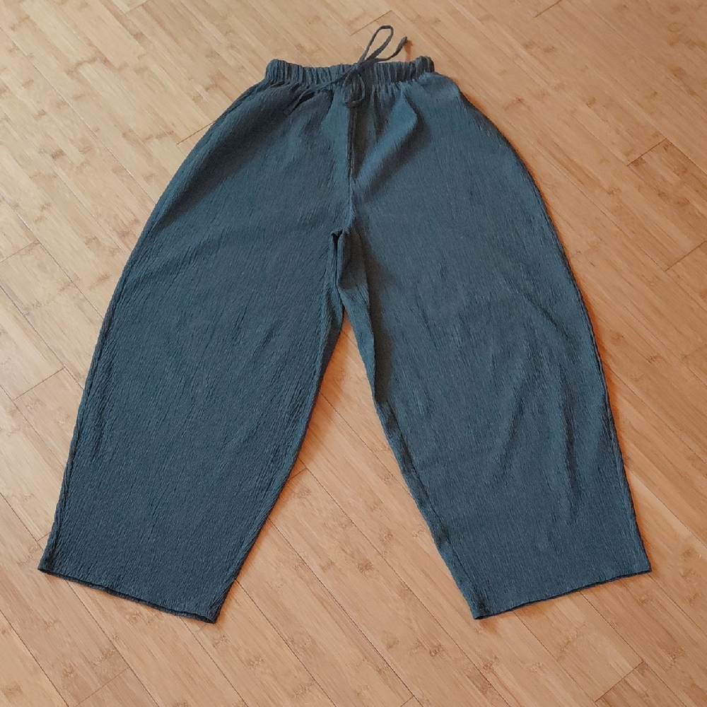Zara Pants ,